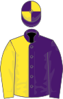 Purple and yellow (halved), quartered cap