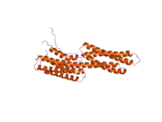 2hsq: Human vinculin (head domain, Vh1, residues 1-258) in complex with Shigella's IpaA vinculin binding site 2 (residues 565-587)