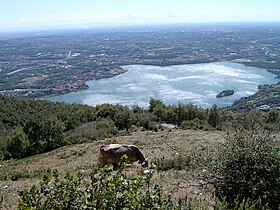 Vue de l'île