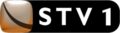 STV1 logo from 2001 to 2004