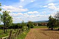 village Jasenica - panorama