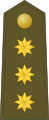 Spain (coronel)