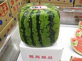 Eckige Wassermelone