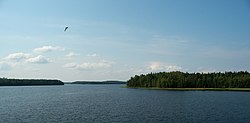 Suonteen järvi Joutsassa