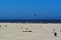 Image 26Beach of Texel (from List of islands of the Netherlands)