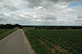 Farmlands outside Munstergeleen