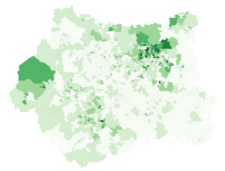 White-Irish