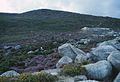 Roadside rocks and heather on hills scenery at the Wicklow Gap