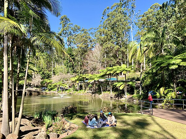 Of course, not everywhere gets all that cold in winter, as seen in this "chilly" winter photo of the Tamborine Mountain Botanic Gardens, Queensland, Australia.