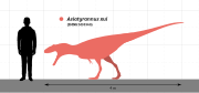 Asiatyrannus size