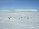 Graves of the dead crewman from the 1845 Franklin Northwest Passage expedition