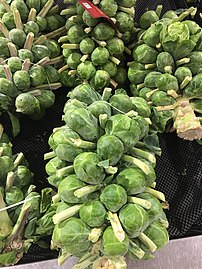 Brussels sprouts on stalk at a supermarket