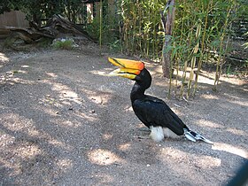 Image illustrative de l’article Jardin zoologique tropical