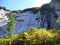 Campi solcati vicino a Sella Nevea (UD)