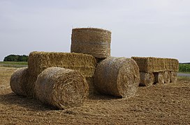 Bottes ou ballots de paille modernes « rondes » et « rectangulaires »