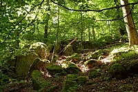 Granitfelsen Felsenmeer „Steingeröll“