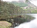 Loch Trool