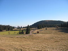 Blick von der Grafenmatt im Norden