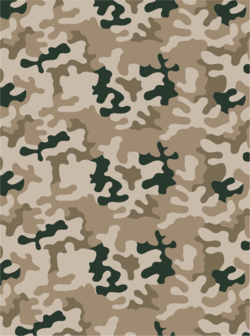 Polish camouflage wz. 93 pantera - desert version