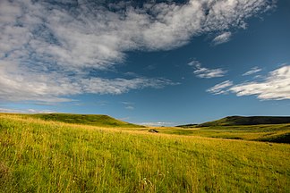 Kitulo-Plateau