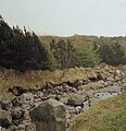 Bosque Viðarlundin úti í Grøv perto da cidade