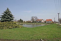 Pond in the centre of Kosičky