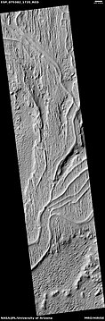 Inverted channels in Aleolis Planum Inverted channels may have formed when the area was buried and then later eroded. The former channels then appear above the surface because they are more resistant to erosion. Perhaps they accumulated larger rocks then the surroundings.