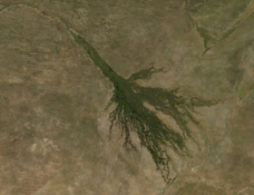 Image illustrative de l’article Delta de l'Okavango