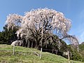 2013年4月5日 (金) 06:12時点における版のサムネイル