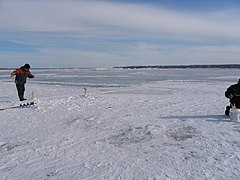 Fishermen, brimbals, on the river ice