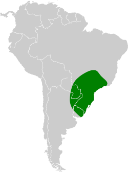 Distribución en verde