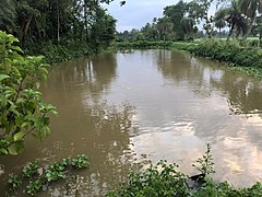 The canal on the right side of Gunahar Zamindar Palace