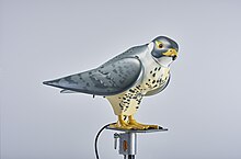 Robop Ltd's R:Falcon Bird Deterrent