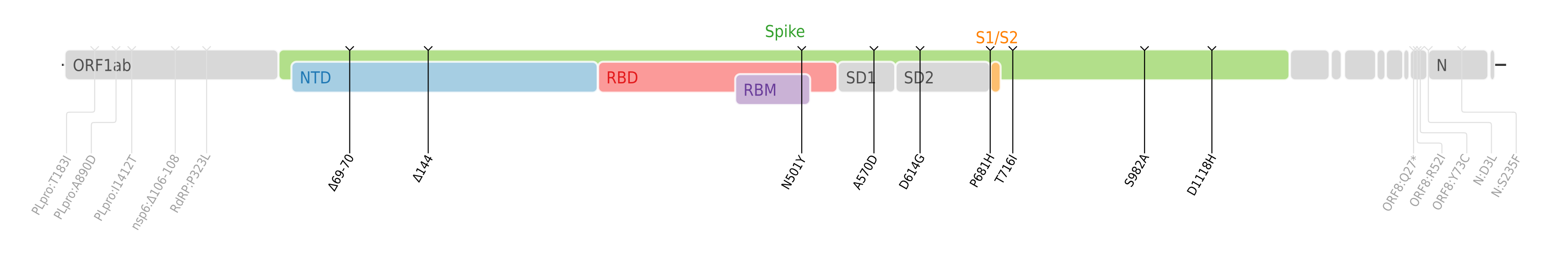 スパイクタンパク質に焦点を当てたSARS-CoV-2のゲノムマップ上にプロットされたアルファ株のアミノ酸変異。