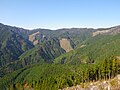 高知県側から望む笹ヶ峰（中央）