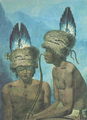 אינדיאנים בצפון קליפורניה, מיכאיל טיקנוב, 1818