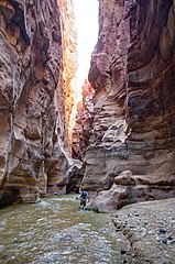 Siq in Wadi Mujib, Jordan