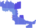 1996 TX-04 election