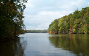 Cove along the north end of Abbotts Creek