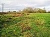 Bishop's Meadow