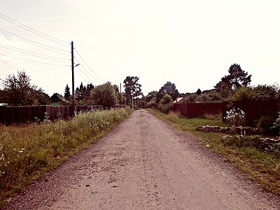 Молодёжная улица в Землино