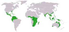 Description de l'image Cycads world distribution.png.