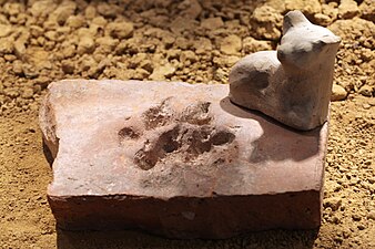 A pet dog's footprint and small sculpture on a Roman terracotta