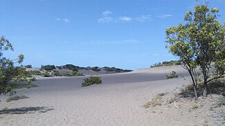 Desert sand dunes of Baní, Dominican Republic