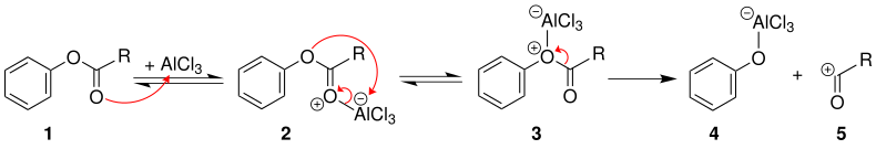 Mechanismus 1 der Fries-Umlagerung