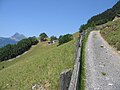 Vom Weg aus mit Alvier im Hintergrund