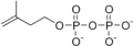 異戊烯焦磷酸（Isopentenyl pyrophosphate, IPP）