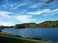 Lac de Montréjeau avec l'île, c'est un lieu d'abris et de reproduction pour les oiseaux d'eau