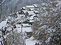 Lapège sous la neige