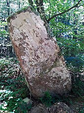 Menhir du Briol